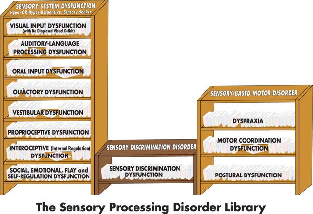 Quick And Easy Guide To The Different Types Of Sensory Processing ...